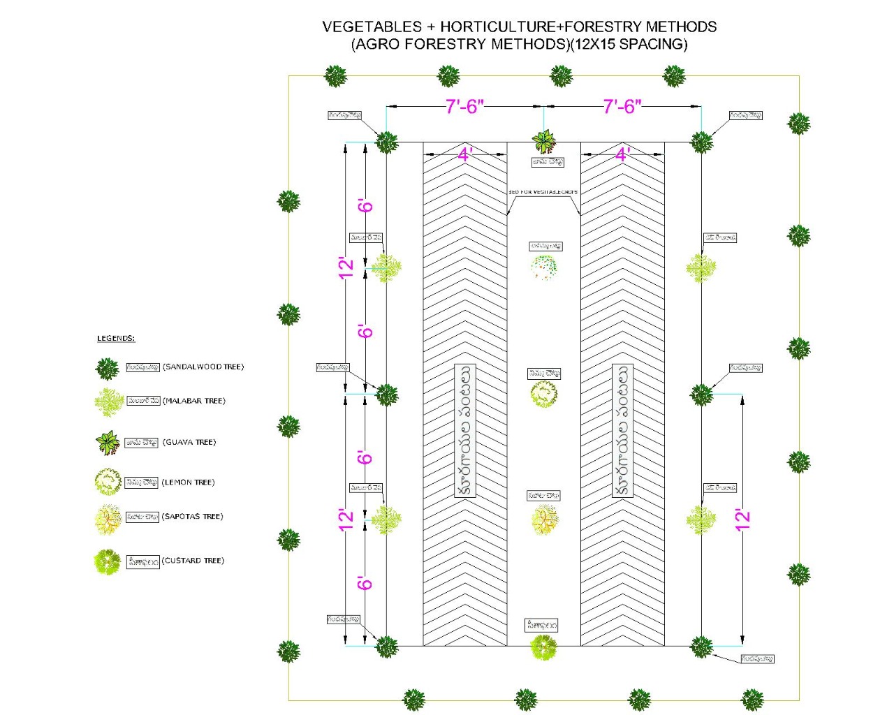 Forestry Species Marketing