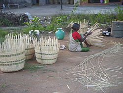 250px-Bamboo__bockets.JPG-1