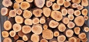 images.jpeg-45-1-300x142