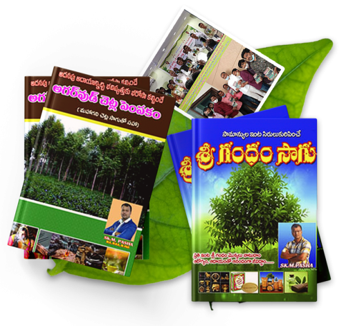 book-publivation